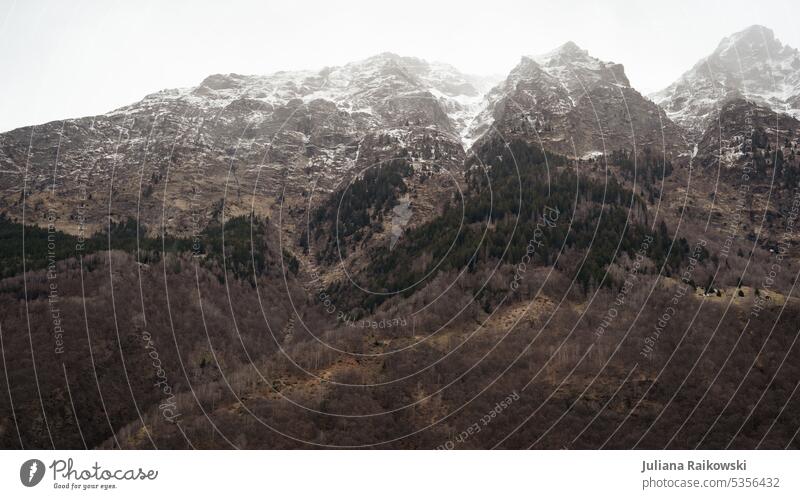 Alpen Panorama in der Schweiz wandern Ausflug Ferne Ferien & Urlaub & Reisen Aussicht Wolken kalt Schnee Schneebedeckte Gipfel Menschenleer grün melancholie