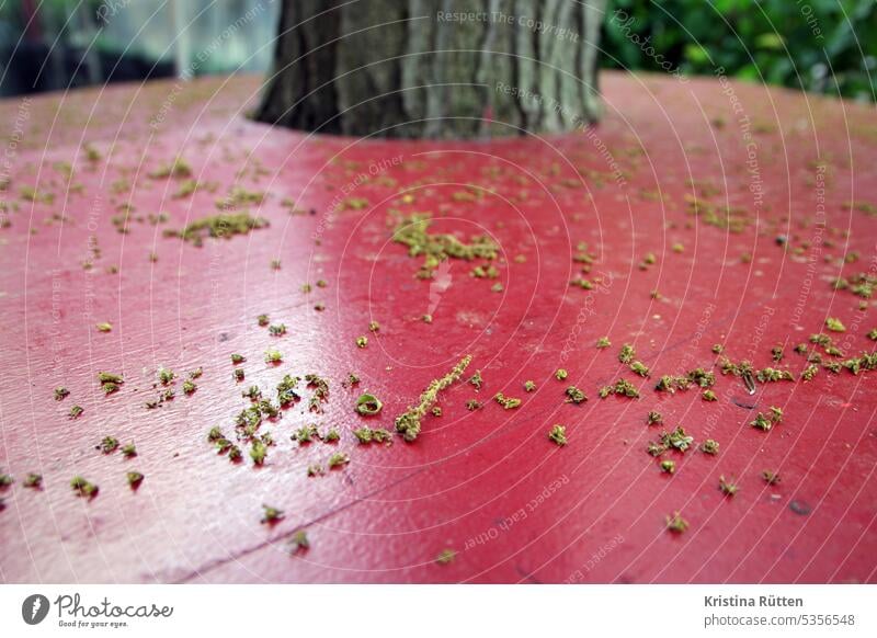 pappelkätzchen brösel liegen auf dem roten stehtisch blütenstand blütenstände baum baumstamm bedeckt abgeworfen runtergeweht frühling sommer draußen natur