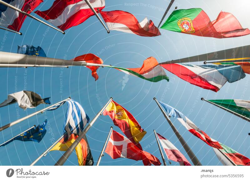 Euröpäische Flaggen Europa Politik & Staat viele Fahne Froschperspektive Fahnenmast international Perspektive weltweit Freiheit Stolz Macht Zusammenhalt