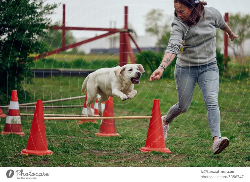Frauchen spielt mit ihrem Hund Agility Springen über eine Hürde Hindernis Herrin Spielplatz Haustier Spielen springend Labrador Retriever zeigend Sommer