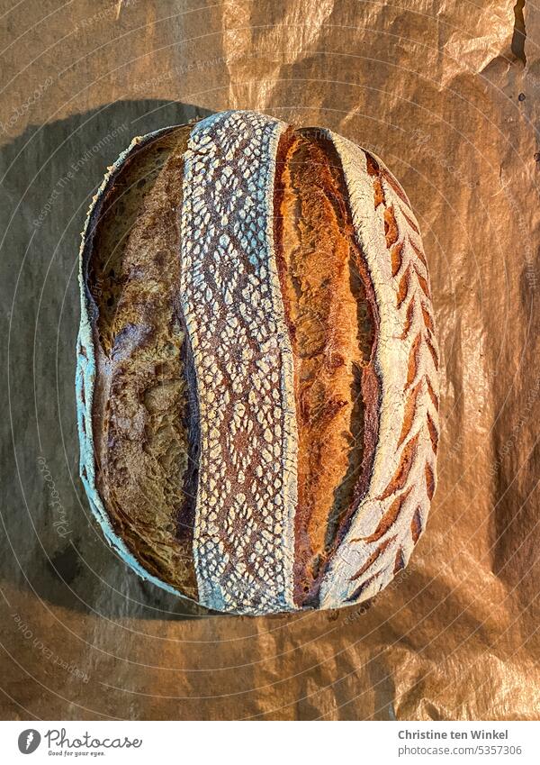 Der Mensch lebt nicht von Lebkuchen allein | Zur Abwechslung gibt es frisches Brot selbstgebackenes Brot Brotlaib Backwaren Brotmuster Brotliebe knusprig Kruste
