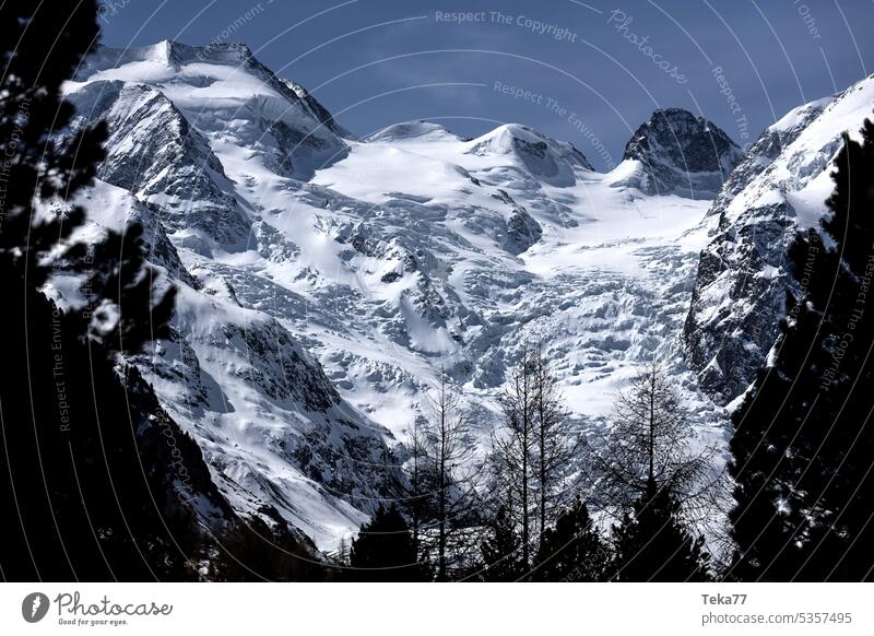 der berühmte morteratschgletscher in der schweiz Morteratsch-Gletscher Eis Schnee Schweiz Schweizer Gletscher Berge hoch Berninagruppe graubünden
