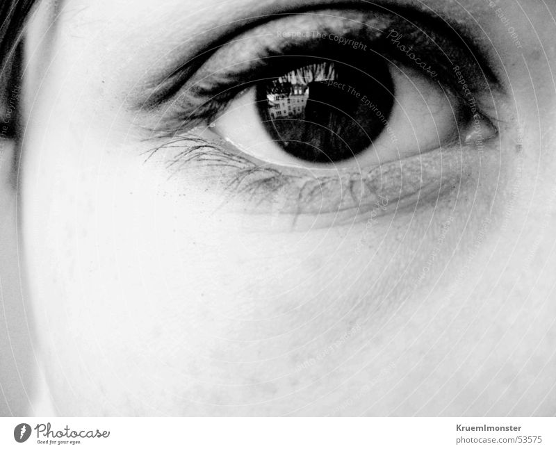 blick schwarz Wimpern Lidschatten Pupille Auge Blick Schwarzweißfoto