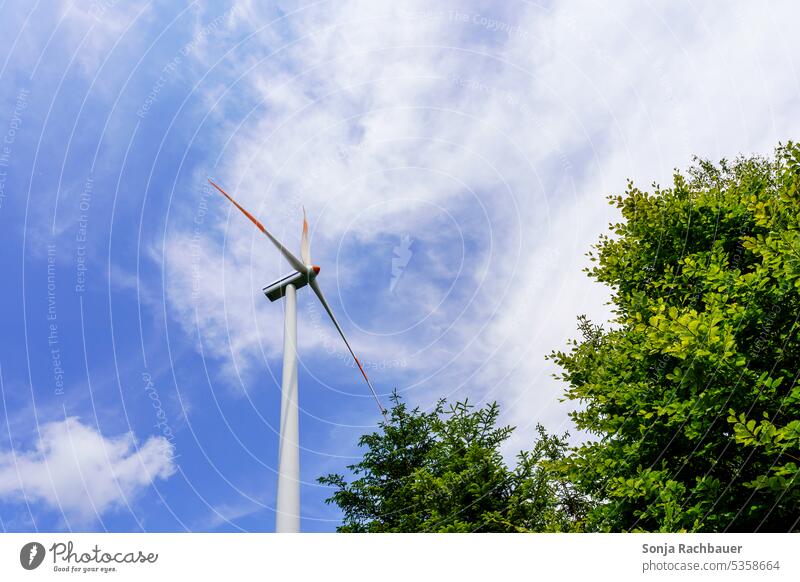 Eine Windkraftanlage vor einem blauen Himmel Energiewirtschaft Erneuerbare Energie Windrad Elektrizität umweltfreundlich alternativ Technik & Technologie