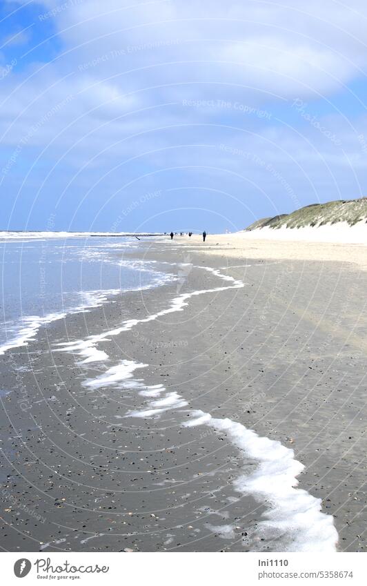 Strandwanderung Landschaft Natur Schönes Wetter draußensein Nordsee Insel Meer Dünen Gezeiten Sand Muscheln Weite genießen Erholung blauer Himmel Gischt Wasser
