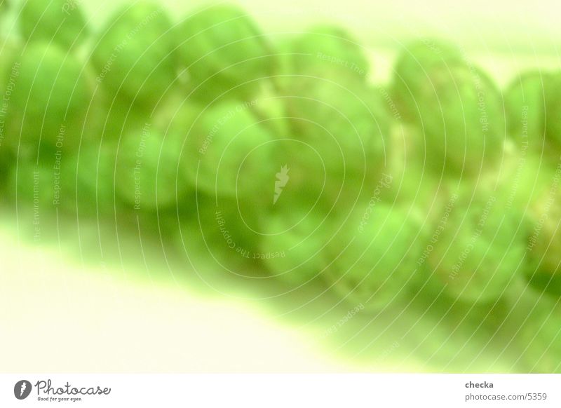rosenkohl Hintergrundbild grün frisch Fototechnik Gemüse