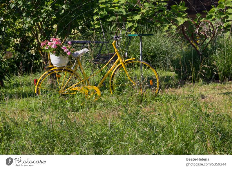Demo-Fahrrad mit Blumenschmuck alt ausgedient Dekoration gelb Dekoration & Verzierung Außenaufnahme Grünfläche Nostalgie grün retro Natur Gartenschmuck Zierrad