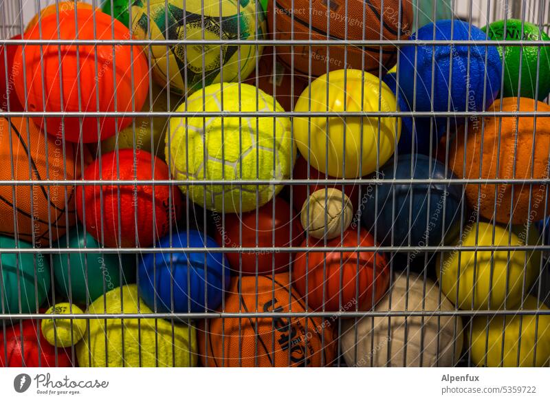 Käfighaltung Bälle Handball Fußball Tennisball Basketball Volleyball Ballsport Sport käfighaltung Sportstätten Freizeit & Hobby gefangen eingesperrt Sammlung