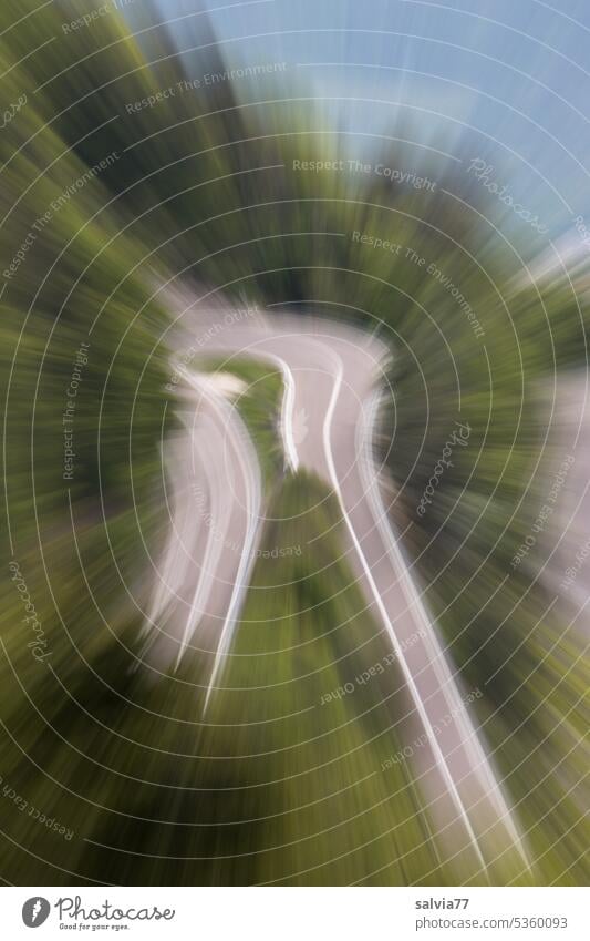 Schleudertrauma ICM-Technik Straße Kurve Serpentinen verschwommen abstrakt Zoomeffekt Wald grün Bewegungsunschärfe Unschärfe Geschwindigkeit schleudern