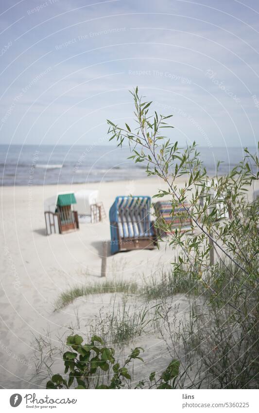 Ostseestrand leicht bedeckt Strand Strandkorb Meer Ferien & Urlaub & Reisen Sommer Sand Erholung Küste Tourismus Sommerurlaub Usedom Himmel