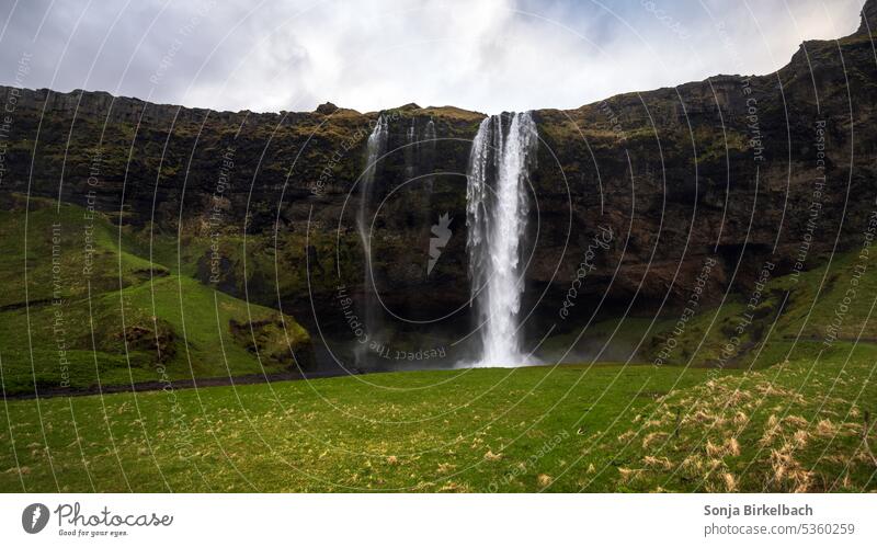 Seljalandsfoss im Sommer - Wasser fällt auf grünes Gras ;) Wasserfall Island Natur Spray reisen nordisch Felsen Landschaft strömen Anziehungskraft Abenteuer