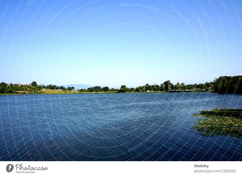 Naturschutzgebiet und Biotop im Sommer bei blauem Himmel im Sonnenschein mit Angler am Poyrazlar Gölü bei Adapazari in der Provinz Sakarya in der Türkei See