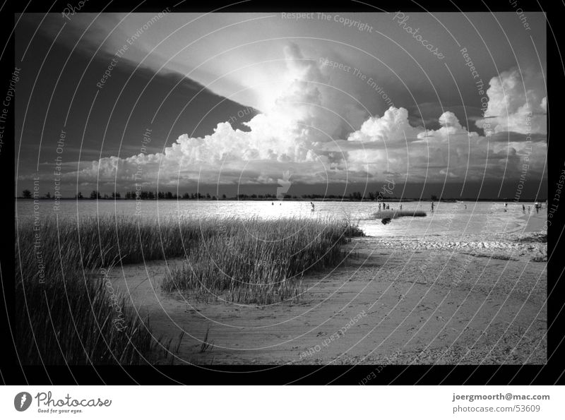 Weltuntergang Strand Meer Wellen Florida Fort de Soto Park Gras Wolken dramatisch Sturm Unwetter Ferien & Urlaub & Reisen Außenaufnahme Sommer Wasser Sand USA