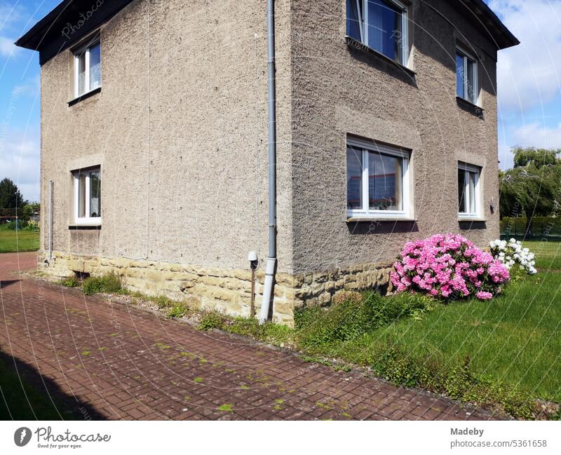 Grüner Vorgarten mit rosa Blüten eines Strauch und alte Fassade in Beige eines Wohnhaus der Sechzigerjahre im Sommer bei Sonnenschein in Hagen bei Lage in Ostwestfalen-Lippe