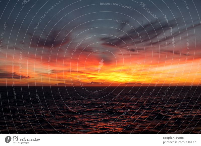Sonnenuntergang über Neuseeland Umwelt Natur Landschaft Wasser Wolken Sonnenaufgang Sommer Cook Strait Südinsel schön orange rot schwarz Feiertag Meer Wellen