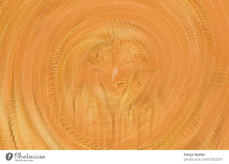 Unscharfes Bild. Abstrakter Hintergrund oder Textur. Kreisförmige Struktur. abstrakt verschwommen Blume Muster Tapete orange braun kreisen Farben bunt freudig