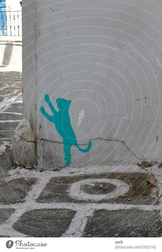 Cats Katze Katzen Kater Griechenland Ägäis Kykladen Paros Fassade Wand Dorf Haus streetart Graffiti streetstyle