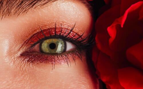 Schöne Frau Augen mit lebendigen Make-up in Rosen Blumen Bad. Hautpflege Konzept schön Schönheit natürlich romantisch Roséwein Hintergrund Pflege Kosmetik Mode
