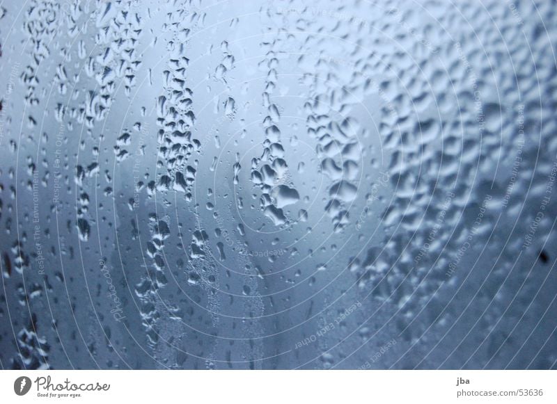 scheibe Fenster Fensterscheibe Physik weiß Wassertropfen Seil Wärme gelehrt blau Morgen