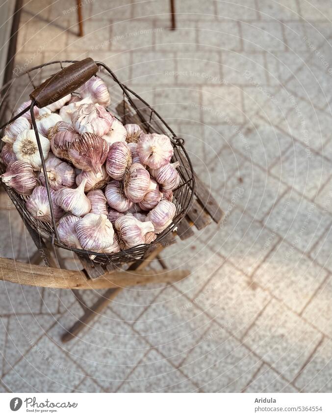 Drahtkorb gefüllt mit vielen Knoblauchknollen steht auf einem Stuhl Korb onion Lebensmittel Kräuter & Gewürze Gesundheit Markt Einkaufen Gesunde Ernährung