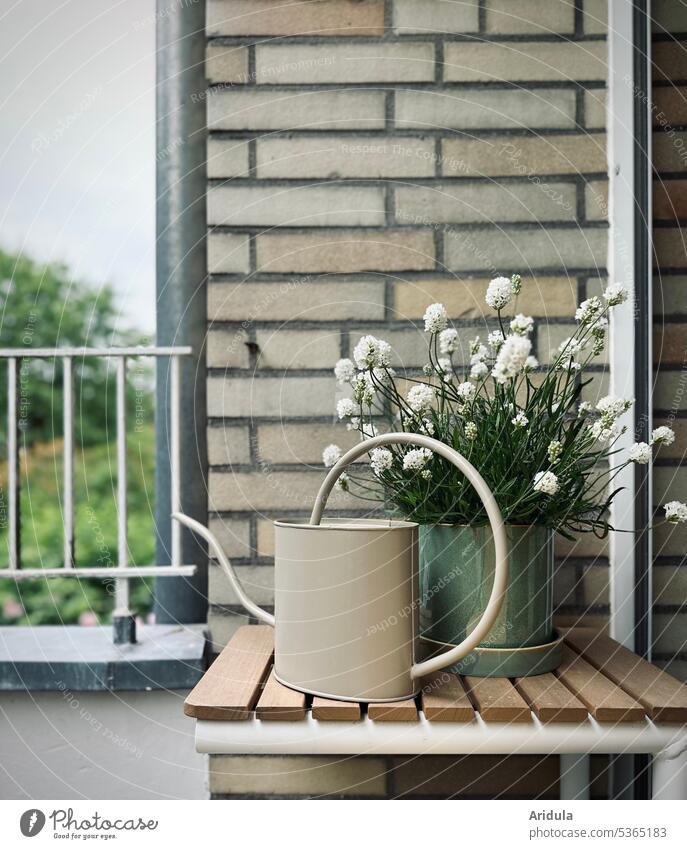 Weißer Lavendel und eine Gießkanne stehen auf einem kleinen Tisch auf dem Balkon weiß Hauswand zuhause Sommer Gebäude Häusliches Leben Fassade wohnen Fallrohr