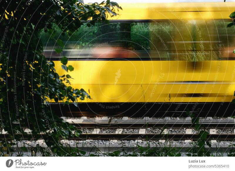 gelbe Stadtbahn flitzt ins Grüne... Bahn Zug Verkehr U-Bahn Gleise Schienenverkehr fahren Gleisbett Sommer sommerlich Bewegungsunschärfe Licht Schatten sonnig