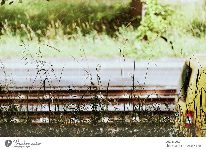 gelber Kleinwagen flitzt ins Grüne... Bahn Verkehr Gleise Schienenverkehr fahren Gleisbett Sommer sommerlich Bewegungsunschärfe Licht Schatten sonnig