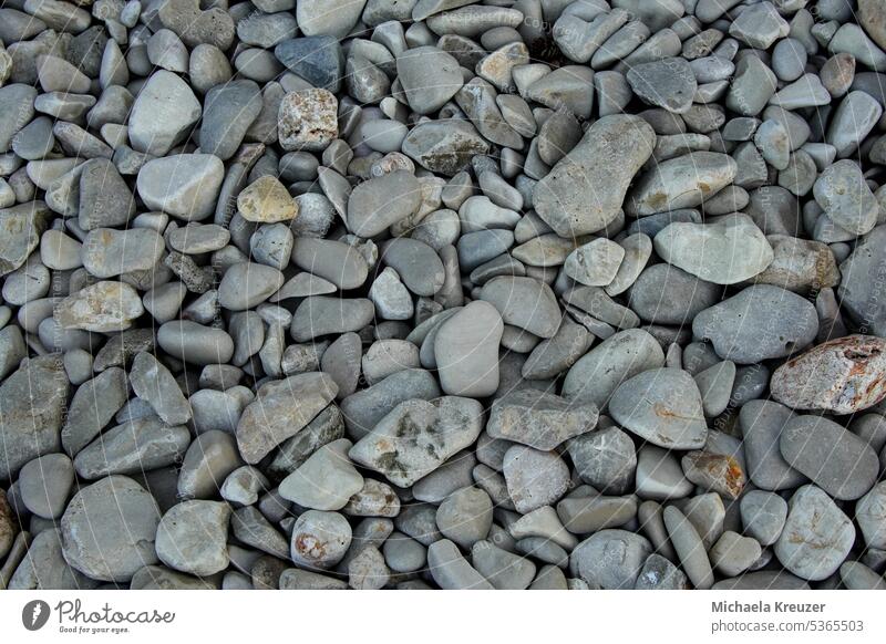 stein Strand, graue mittelgroße, runde steine texrfreiraun kantig hart eckig Strukturen & Formen Detailaufnahme Kontrast abstrakt Menschenleer hintergrundbild