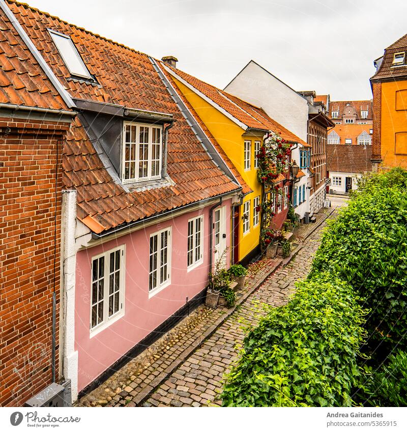 Blick von schräg oben auf kleine bunte Häuser der Gasse Roldgade in Aalborg, quadratisch, 1:1 quadratisches Format Dänemark Nordjütland Limfjord Häuserzeile