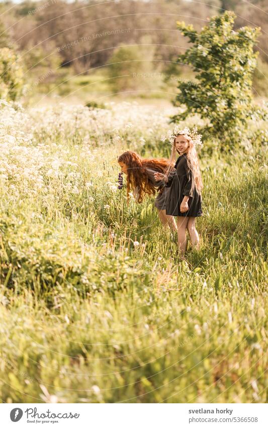 Zwei Freundinnen sammeln Blumen auf dem Feld waldorf natürliches Licht natürliche Farbe hübsch Schönheit jung Rothaar Mädchen Lächeln lange Haare Person
