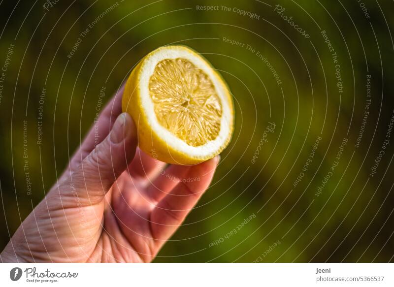 Superfruit Zitrone Frucht gelb Vitamin C Gesundheit Ernährung frisch saftig vitaminreich Diät Lebensmittel Sonnenlicht natürlich entschlacken Hälfte sauer
