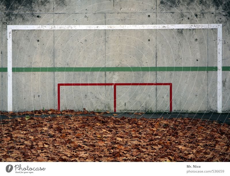 Das Tor steht in der Mitte* Spielen Sport Ballsport Umwelt Herbst Blatt Mauer Wand grün rot weiß Fußballplatz Wandmalereien Linie Fußballtor dreckig Herbstlaub