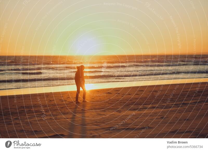 Sonnenuntergang auf dem Meer mit Möwe und Mädchen dahinter Wasserspiegelung Flügel Wellen Strand Möwen Freiheit blau Fluss Küste Frau hinten