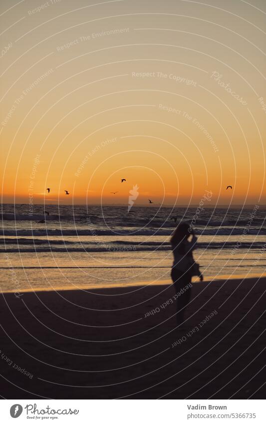 Sonnenuntergang auf dem Meer mit Möwe und Mädchen dahinter Wasserspiegelung Flügel Wellen Strand Möwen Freiheit blau Vogel Fluss Küste Frau hinten