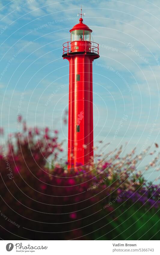 Roter Leuchtturm in lissabon romantisch Stimmung Landschaft Ferien & Urlaub & Reisen Insel Retro-Farben Himmel Sträucher Blumen rot