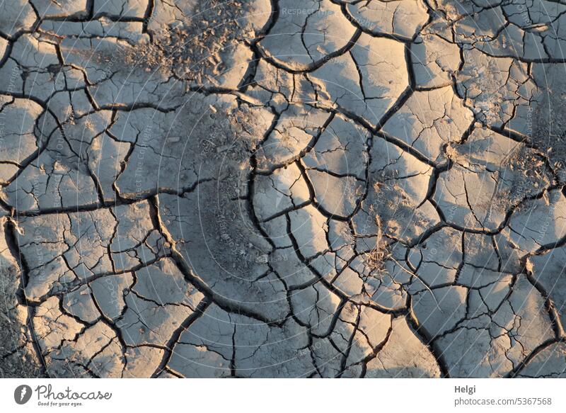ausgetrockneter Erdboden mit Rissen auf einem Feld in der Abendsonne Erde Acker trocken Dürre Boden Umwelt Klimawandel Sommer Trockenheit Natur braun Oberfläche