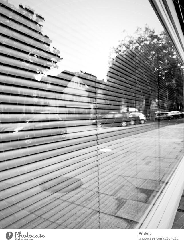 Strassenbild spiegelt sich in einem Schaufenster mit runtergelassener Jalousie s/w Straße Auto Autos parken Bäume Häuser PKW Parkplätze Stadt Stadtbild Fußweg