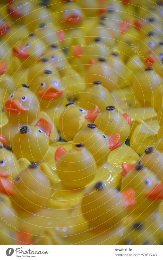 parallelwelt | im Plastik-Land der Quietscheenten Ente Badeente gelb baden schwimmen Menge Masse viele einer unter vielen Schwimmen & Baden Spielzeug Badewanne