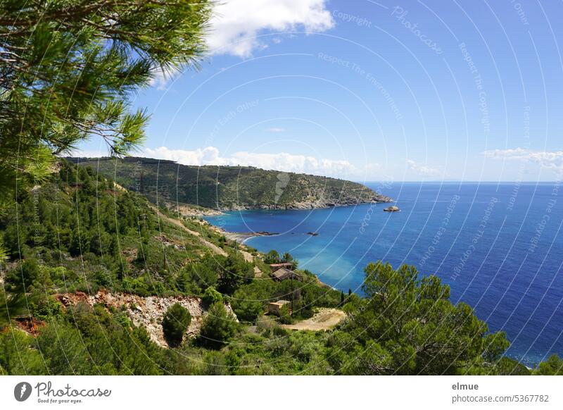 Elba - Küste im Südosten Mittelmeer Ginevro Italien Meer Thyrrenisches Meer Toskanischer Archipel Insel Wald Blog Südostküste Provinz Livorno Bucht Südküste