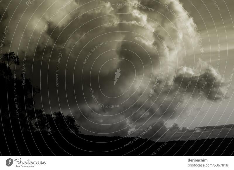 Unheimliches Wolken Gebilde schwebt über dem Land in Binna Burra. Wolkenformation Menschenleer Wetter Landschaft Außenaufnahme Wolkenhimmel Wolkenfeld Himmel