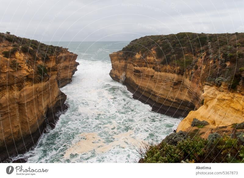 Australische Küste natürlich golden Uferlinie Klippen hell schön Ferien & Urlaub & Reisen Strand Meer Himmel Landschaft Natur Wellen Farbe Australien Bucht