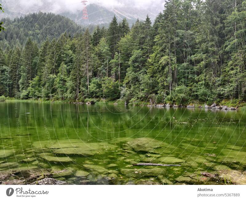 Grüner See vor einem Wald grün Sommer Außenaufnahme Ferien & Urlaub & Reisen wandern Umwelt Berge Landschaft Dunst Gebirgssee Natur Berge u. Gebirge Wasser