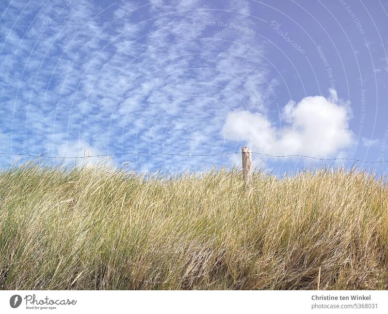 Wölkchen überm Deich Wolken Zaunpfahl Stacheldraht Himmel himmelblau Sommer sommerlich Deichgras Dünengras Schönes Wetter Küstenschutz Natur schön Nordfriesland
