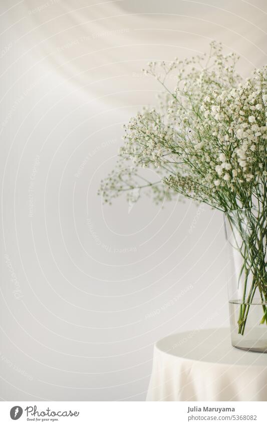Glasvase mit Blumenstrauß von Baby-Atem Blumen und Tuch Tischplatte auf einem weißen Hintergrund Schleierkraut weiße Blumen weißer Hintergrund abstrakt