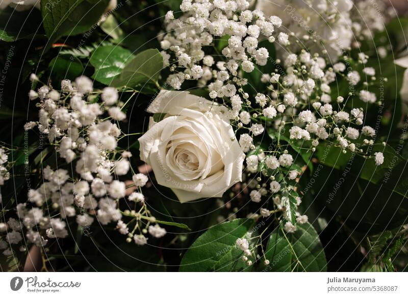 Nahaufnahme eines Blumenstraußes im Sonnenlicht mit Baby's-Breath und einer weißen Rose Hochzeit Rosen Schleierkrautblüten Roséwein Liebe Natur Schönheit