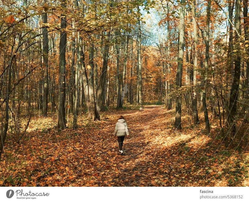 Frau von hinten im Gehen, Herbstlaubwald Spaziergang laufen Kaukasier Mädchen pov fallen Park Ast niemand Weg Sichtweise traben gelb Wald Oktober Blätter