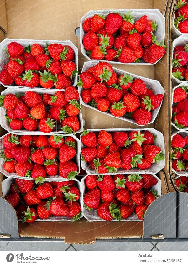 Erdbeeren in Schalen verkaufsbereit Pappe Karton Einzelhandel Obst Lebensmittel frisch Frucht rot lecker Ernährung Gesundheit Vitamin Sommer fruchtig
