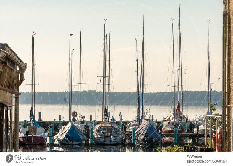 Ein Yachtclub an einem großen See, noch ruhen die Boote Bootsfahrt Verein Sport Wasserfahrzeug Ufer Saison Morgen Ferien & Urlaub & Reisen Hobby Freizeit Luxus
