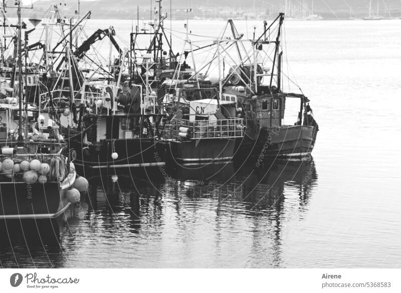 Kuscheln im Hafen Fischerboot Schifffahrt Wasser Meer Fischereiwirtschaft Nostalgie Boot Fischfang Wasserfahrzeug Fischereihafen Ruhe ruhend bereit warten Pause