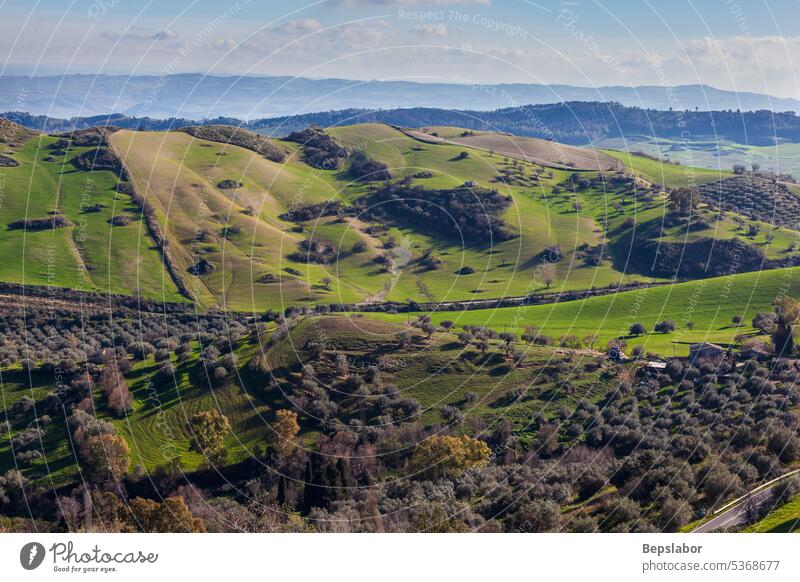Landschaft mit Tal und Feldern in Morgantina Hügel Italienisch ländlich malerisch Sizilien aidone enna morgantina Insel südländisch wild Lauffeuer zentral